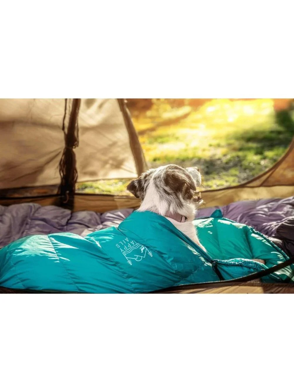 Ultralight Glacial Blue Dog Sleeping Bag & Packable Bed for Hiking & Camping